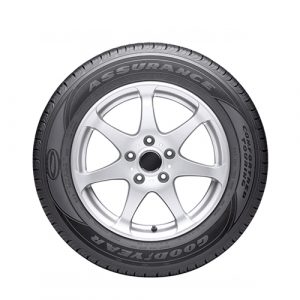 Perfect Titanium Tire Cover (18 inches)